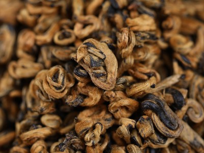 2023云南凤庆金螺滇红茶一芽一叶工夫红茶散装浓香型茶叶批发图3