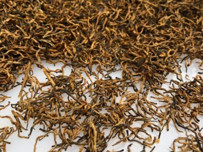 福建金骏眉红茶2025年全黄芽金骏眉500g散装单芽黄芽蜜香金俊眉图2