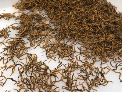 福建金骏眉红茶2025年全黄芽金骏眉500g散装单芽黄芽蜜香金俊眉图3