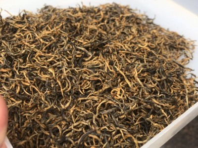 春茶金骏眉红茶散装茶叶 新茶蜜香甘甜 红茶直供茶叶图2
