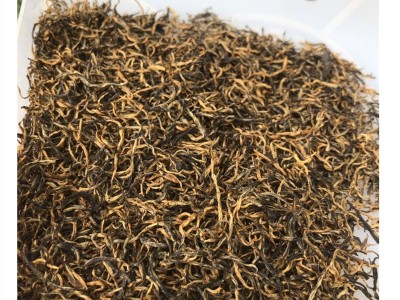 春茶金骏眉红茶散装茶叶 新茶蜜香甘甜 红茶直供茶叶图4