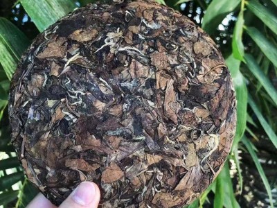 福鼎的白茶2011年老白茶枣香贡眉饼白茶饼350g原产区走量带资质图5