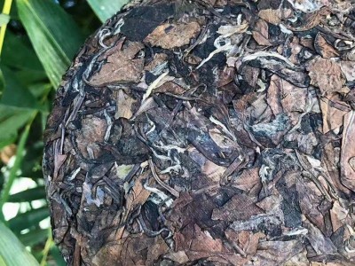 福鼎的白茶2011年老白茶枣香贡眉饼白茶饼350g原产区走量带资质图2