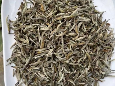 2013年白茶头采白毫银针毫香显现50g口感甘甜福建茶叶厂家直供图3
