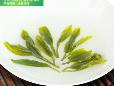 2025春茶上市恩施玉露200g大罐装雨前绿茶茶叶蒸青茶历史名茶清香图4