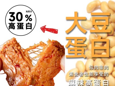 20g*20包/袋装手撕素牛排豆制品工厂批发辣条校园社区团购素肉图4