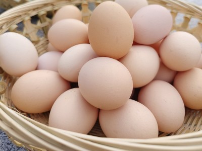 深山散养土鸡蛋农家生态粮食走地鸡鲜蛋30枚装包邮破损包赔鸭蛋图3