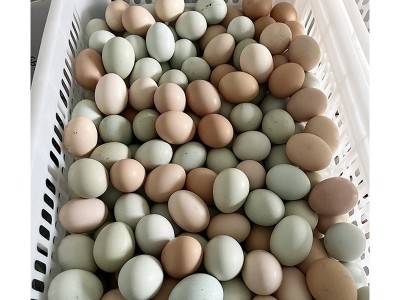 深山散养土鸡蛋农家生态粮食走地鸡鲜蛋30枚装包邮破损包赔鸭蛋图5