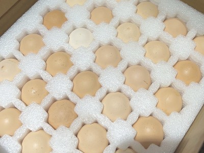 深山散养土鸡蛋农家生态粮食走地鸡鲜蛋30枚装包邮破损包赔鸭蛋图4