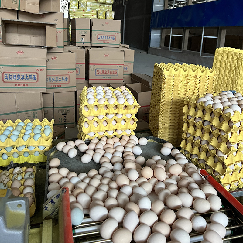 O1CN01RnKvWa1Vkz82fN3dY_!!959612692-0-cib