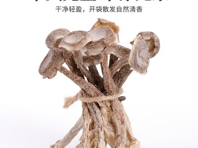 鹿茸菇菌菇干货礼盒大礼包羊肝菌汤包现货煲汤食材菌子优质风干图2