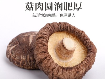 基地香菇菌菇干货农家干香菇蘑菇批发煲汤食材家用菌子鲜香香蕈图3