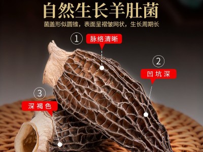 羊肚菌菌菇干货批发干蘑菇食用菌现货供应食用农产品煲汤食材优质图2