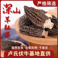 羊肚菌菌菇干货批发干蘑菇食用菌现货供应食用农产品煲汤食材优质