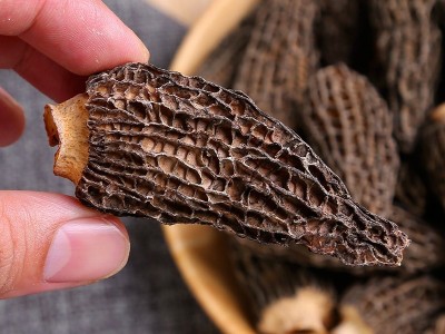 产地直供特产剪柄羊肚菌干货食用菌菇煲汤年货食材可批发代发图2