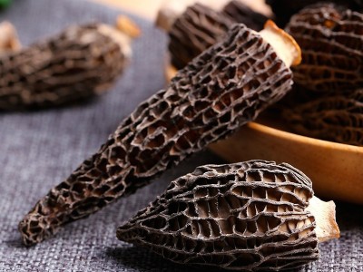 产地直供特产剪柄羊肚菌干货食用菌菇煲汤年货食材可批发代发图4