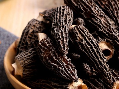 产地直供特产剪柄羊肚菌干货食用菌菇煲汤年货食材可批发代发图3