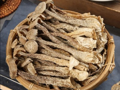 鹿茸菇干货农家特产鹿茸菌鹿耳菇批发菌菇香菇煲汤炒菜净重无干燥图2