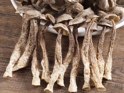 鹿茸菇干货农家特产鹿茸菌鹿耳菇批发菌菇香菇煲汤炒菜净重无干燥图3