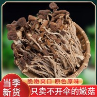 茶树菇干货不开伞2024新鲜菌类农家干货5KG蘑菇无硫煲汤材料