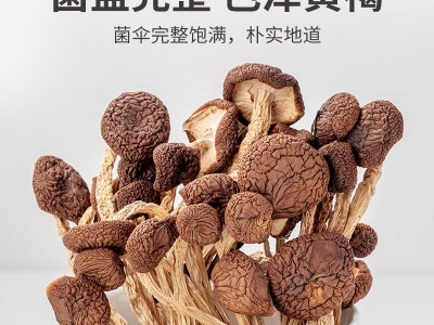 茶树菇干货不开伞2024新鲜菌类农家干货5KG蘑菇无硫煲汤材料图2