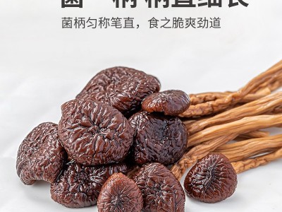 茶树菇干货不开伞2024新鲜菌类农家干货5KG蘑菇无硫煲汤材料图3