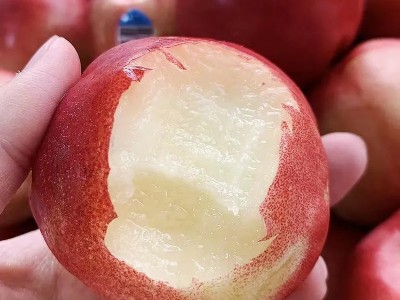 智利桃驳李水果油桃广州发货京东包邮应当季水果油桃一件代发图3