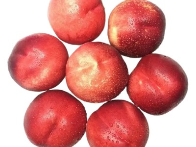 智利桃驳李水果油桃广州发货京东包邮应当季水果油桃一件代发图5