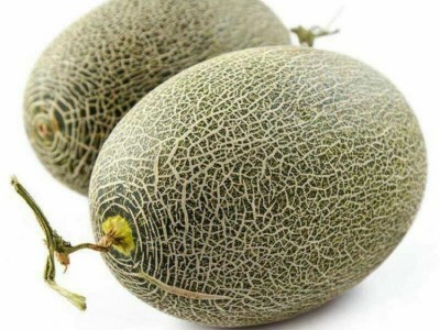 海南西州蜜产地直发蜜瓜包邮西州蜜哈密瓜甜瓜一件代发图5