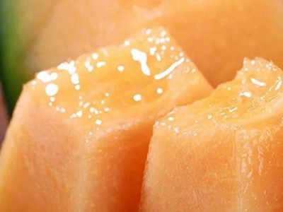 海南西州蜜产地直发蜜瓜包邮西州蜜哈密瓜甜瓜一件代发图3