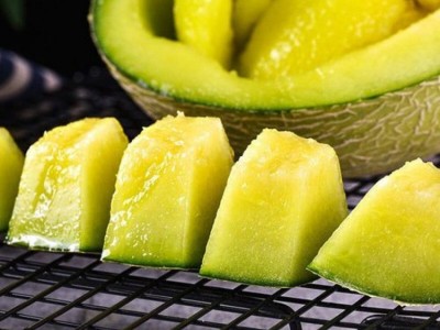 网纹瓜玫珑瓜新鲜采摘玲珑网纹瓜现摘小玫珑网纹瓜一件代发图2