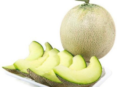 网纹瓜玫珑瓜新鲜采摘玲珑网纹瓜现摘小玫珑网纹瓜一件代发图5