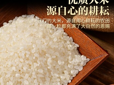 豆农亿品金秋小粒东北大米5kg一袋真空包装一年一季图3