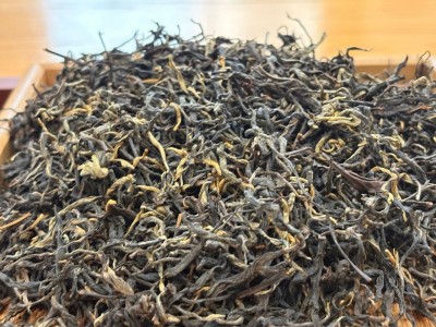 滇红勐海古树晒红2025年头春茶高浓香薯香木香茶叶500克批发图3