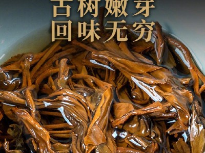 滇红勐海古树晒红2025年头春茶高浓香薯香木香茶叶500克批发图5