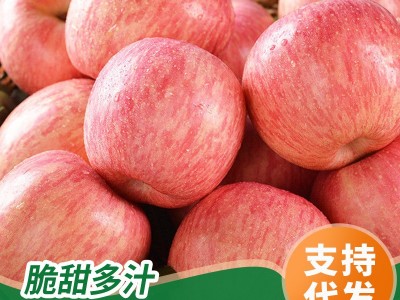烟台水晶红富士苹果脆甜多汁爽口条红全红香甜可口冰糖心栖霞苹果图2
