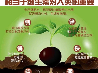 涵物高纯多爆根生根粗根壮根多根养根护根微量元素营养液厂家批发图4