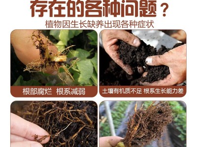 涵物高纯多爆根生根粗根壮根多根养根护根微量元素营养液厂家批发图3