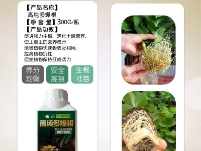 涵物高纯多爆根生根粗根壮根多根养根护根微量元素营养液厂家批发图2