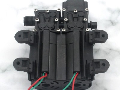 福达双电机电动喷雾器隔膜泵关枪停机压力泵农用高压洗车 抽水泵图4