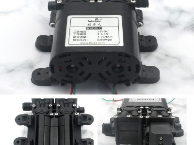福达双电机电动喷雾器隔膜泵关枪停机压力泵农用高压洗车 抽水泵图2