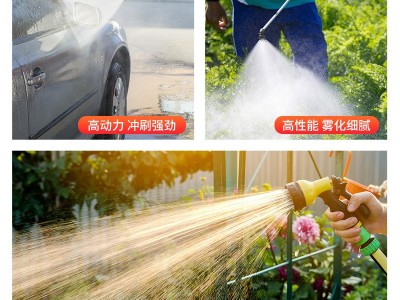 福达双电机电动喷雾器隔膜泵关枪停机压力泵农用高压洗车 抽水泵图3