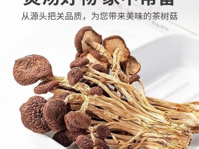 茶树菇干甄选开伞福建特产新菌菇古田农家自产茶树菇食用菌批发图3