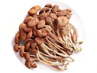 茶树菇干甄选开伞福建特产新菌菇古田农家自产茶树菇食用菌批发图5