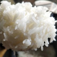 增荔增城丝苗米5斤十大好吃米饭长粒香大米新米宝宝米