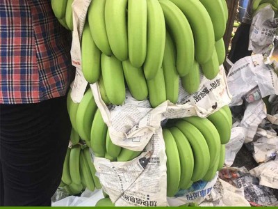 包邮带箱十斤云南甜香蕉自然熟当季新鲜水果广西小米蕉芭蕉批发图2