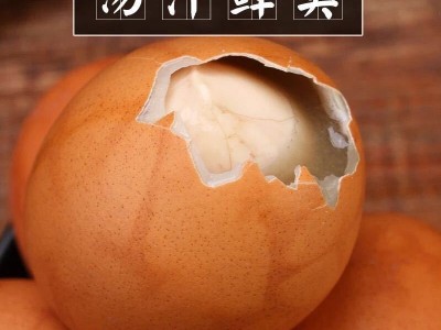 40枚包邮13天农家新鲜毛蛋鸡胚蛋毛鸡蛋喜蛋旺鸡蛋活珠子凤凰蛋图2