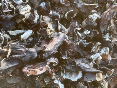 白背木耳包邮批发水洗去沙无渣山东小木耳白背木耳图3