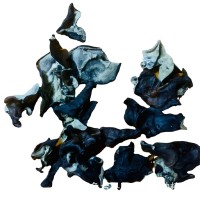 白背木耳包邮批发水洗去沙无渣山东小木耳白背木耳