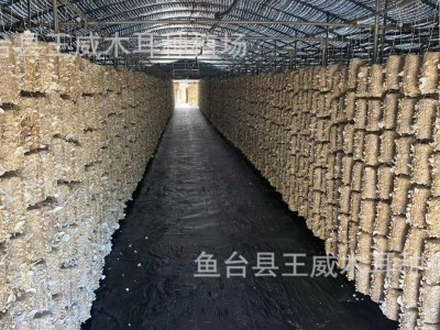 白木耳干货产地批发手选白玉木耳图3